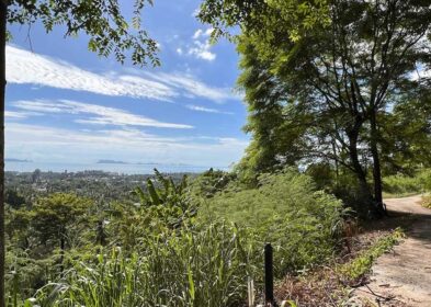 Ocean view land plot for sale in Lipa Noi, Koh Samui – 1,064 sqm
