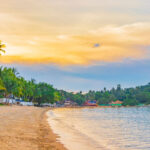 Koh Samui beachfront at sunset, showing palm-lined shoreline and calm sea