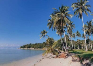 636 sqm beachfront land for sale in Thong Krut, Koh Samui with panoramic sea views