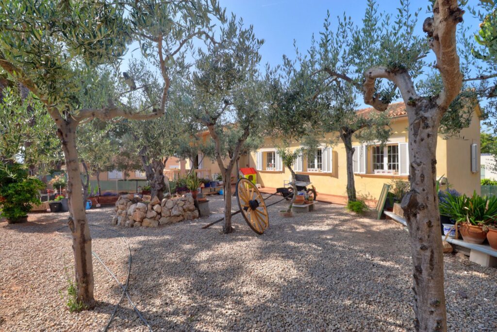 3-bed villa with olive garden and pool in Santa Ponsa, Mallorca