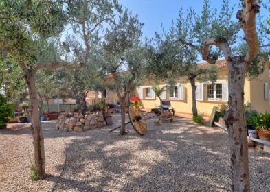 3-bed villa with olive garden and pool in Santa Ponsa, Mallorca
