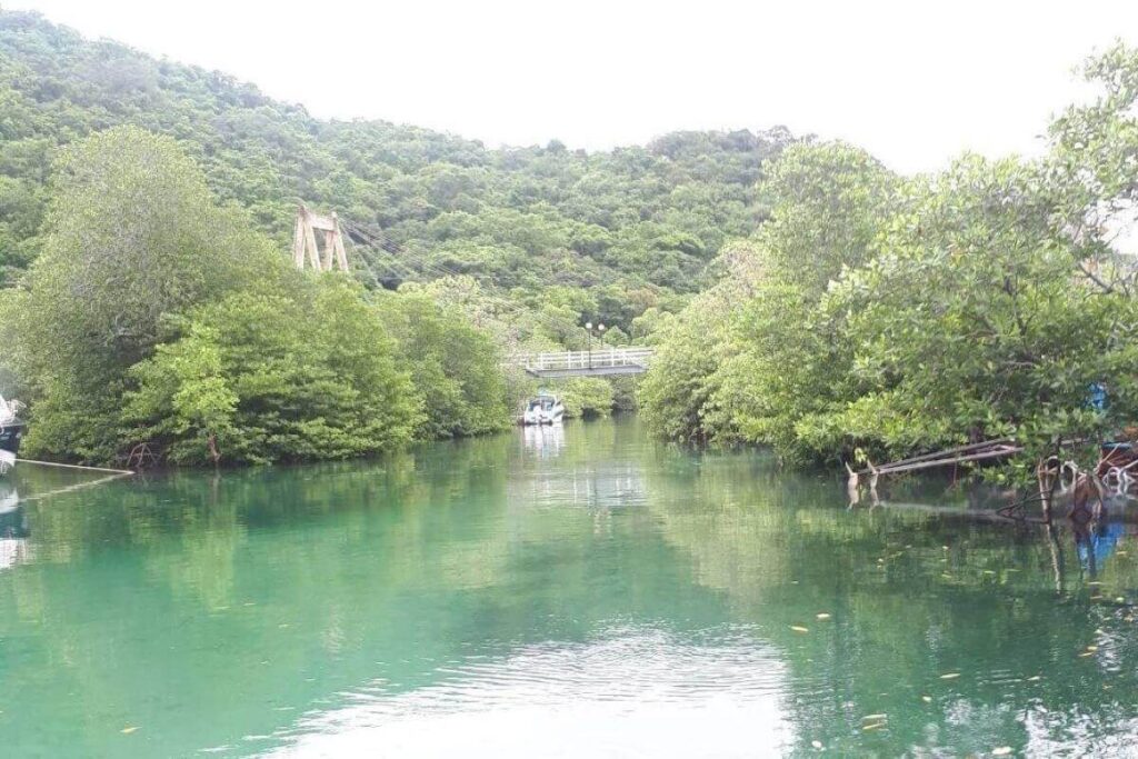 2,400 sqm land for sale near Loh Lana Bay, Koh Phi Phi, Krabi