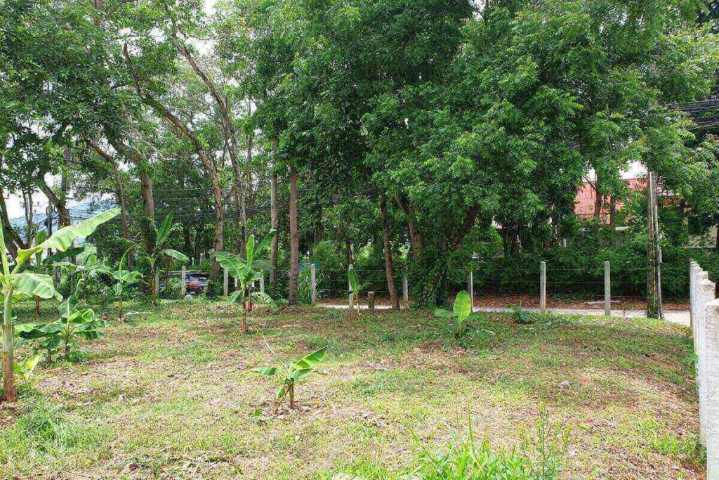 1,500 sqm land for sale near Rawai Seafront, Phuket