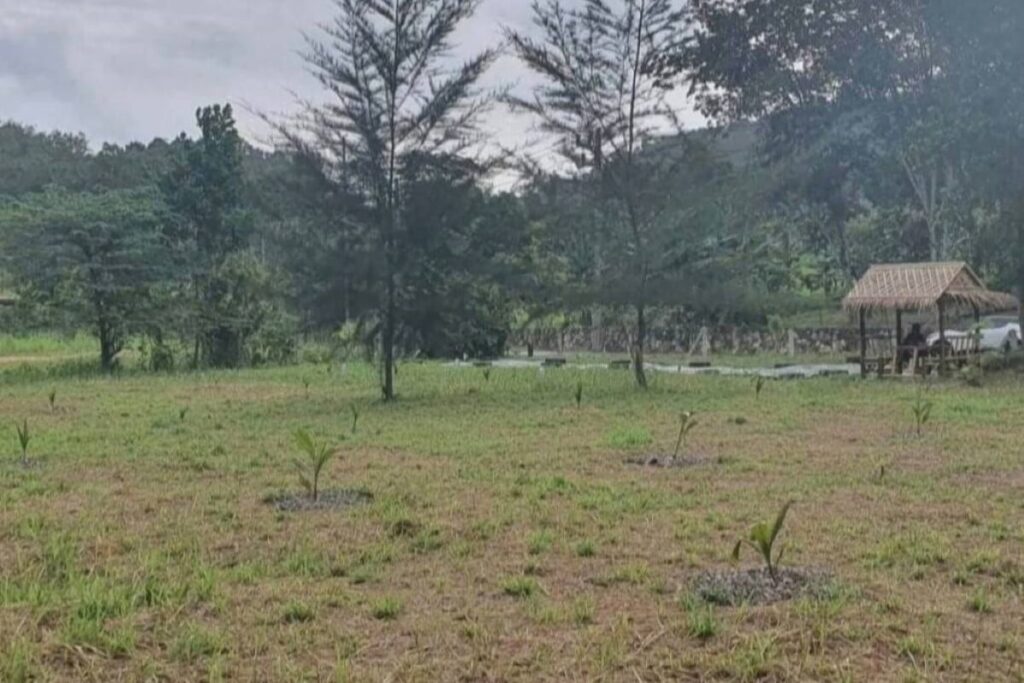 2,972 sqm land for sale near Nai Thon Beach, Phuket