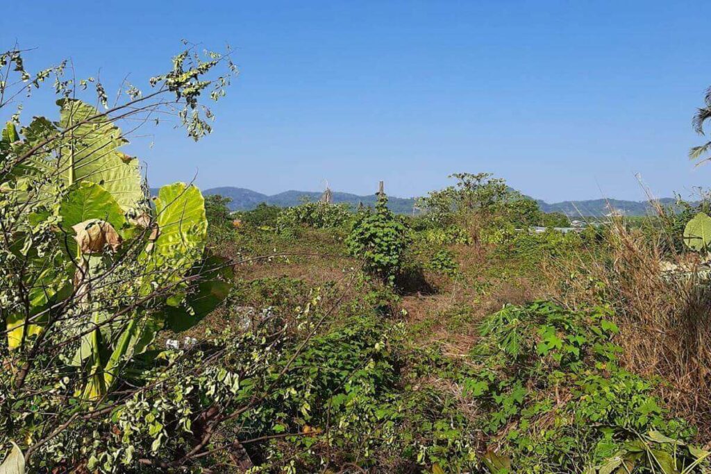 1,600 sqm land for sale in Soi Pasak 8, Cherng Talay, Phuket
