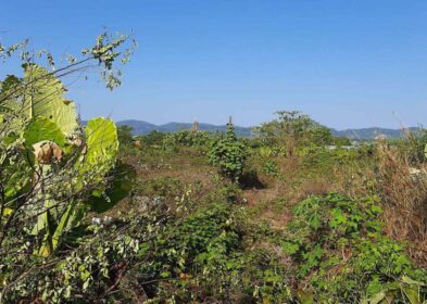 1,600 sqm land for sale in Soi Pasak 8, Cherng Talay, Phuket