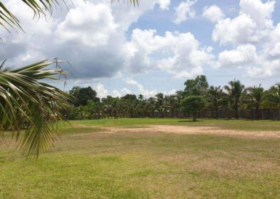 32,000 sqm flat land with lake for sale in Thalang, Phuket