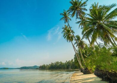 392,880 sqm beachfront land in Khao Lak, Phang Nga