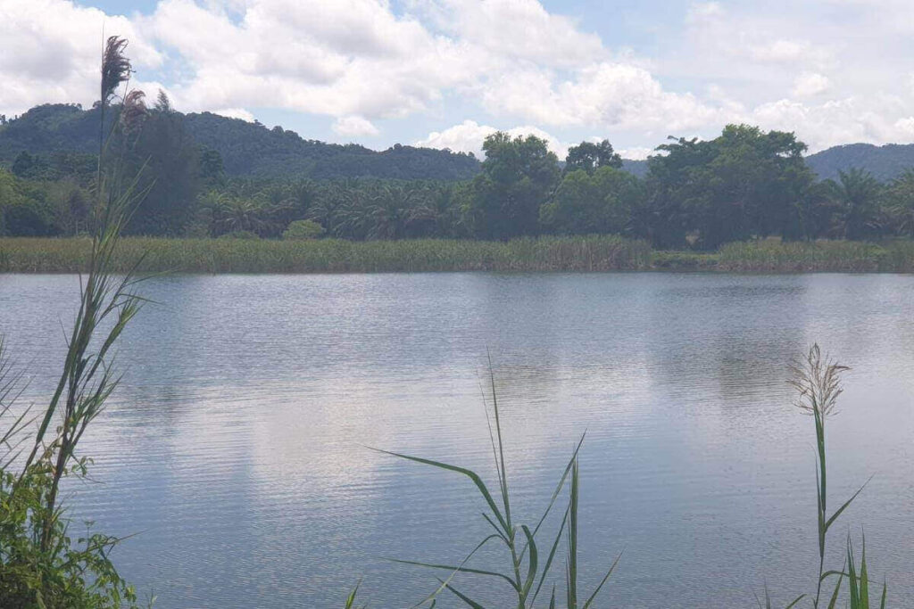 57,600 sqm near-beach land in Khao Lak, Phang Nga