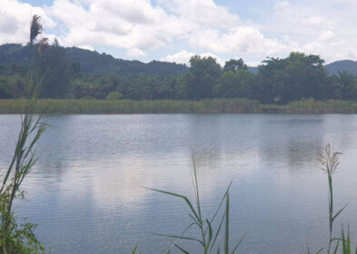 57,600 sqm near-beach land in Khao Lak, Phang Nga