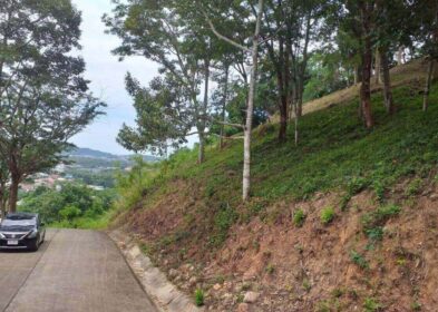 4,880 sqm hillside land for sale in Kathu, Phuket with countryside views