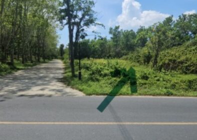 25 Rai land for sale in Thalang, Phuket, near Mission Hills Golf Resort